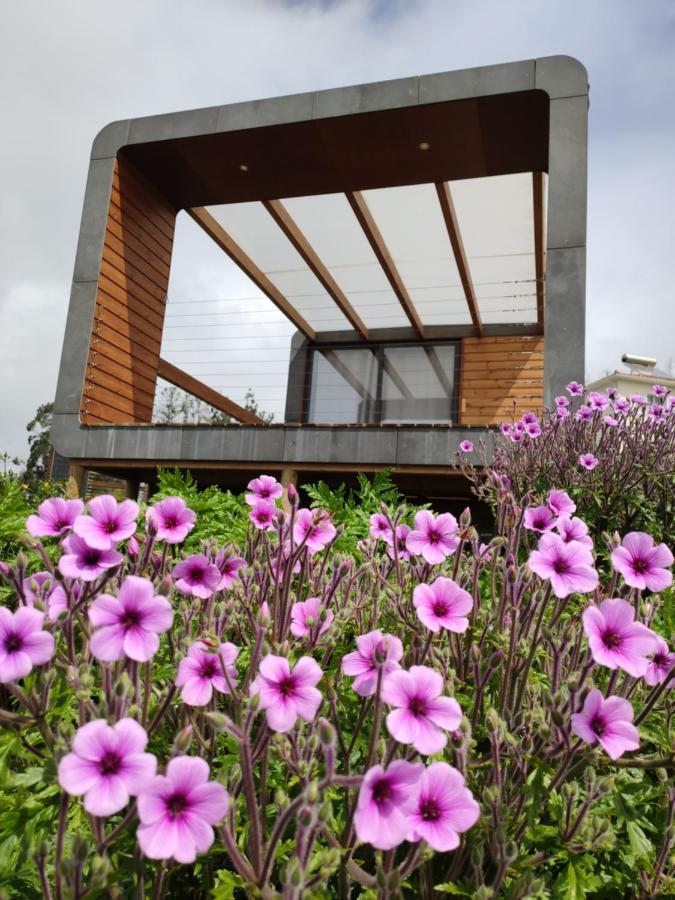 Hotel Calheta Glamping Pods - NEW CONCEPT Esterno foto