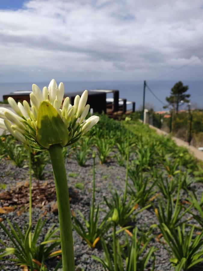 Hotel Calheta Glamping Pods - NEW CONCEPT Esterno foto